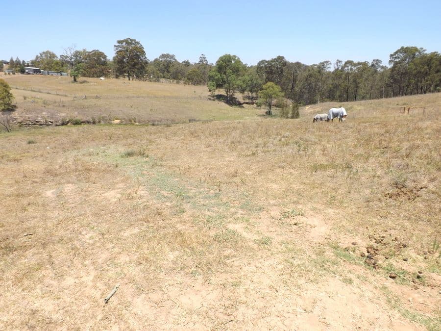 352 Bridgman Road, SINGLETON NSW 2330, Singleton - Thumbnail 6