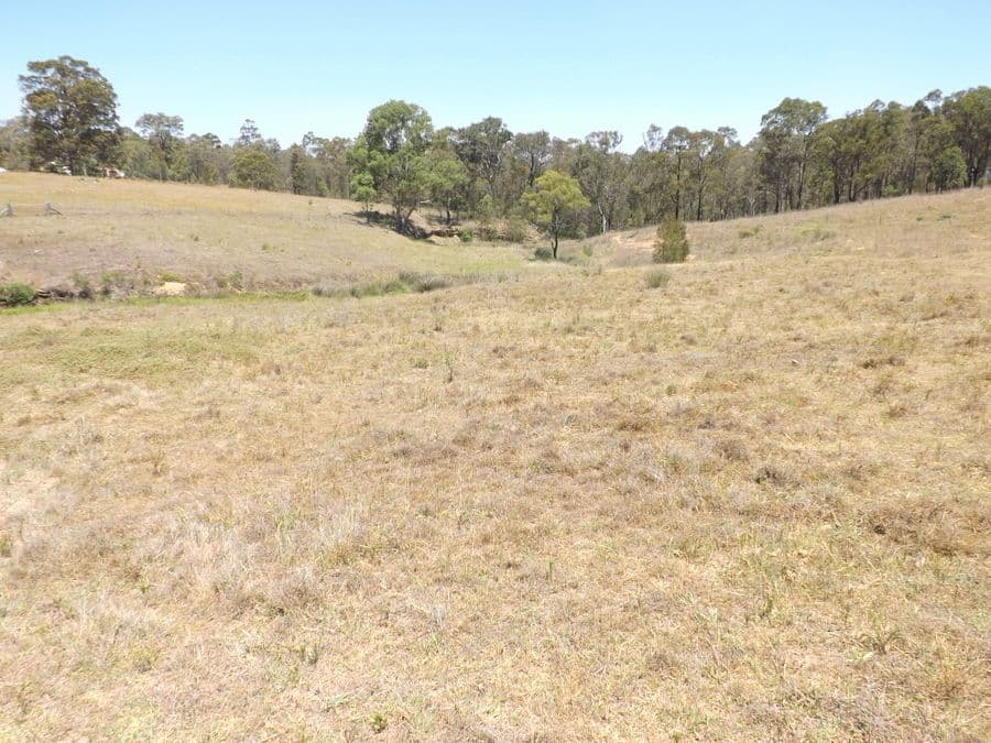 352 Bridgman Road, SINGLETON NSW 2330, Singleton - Thumbnail 7