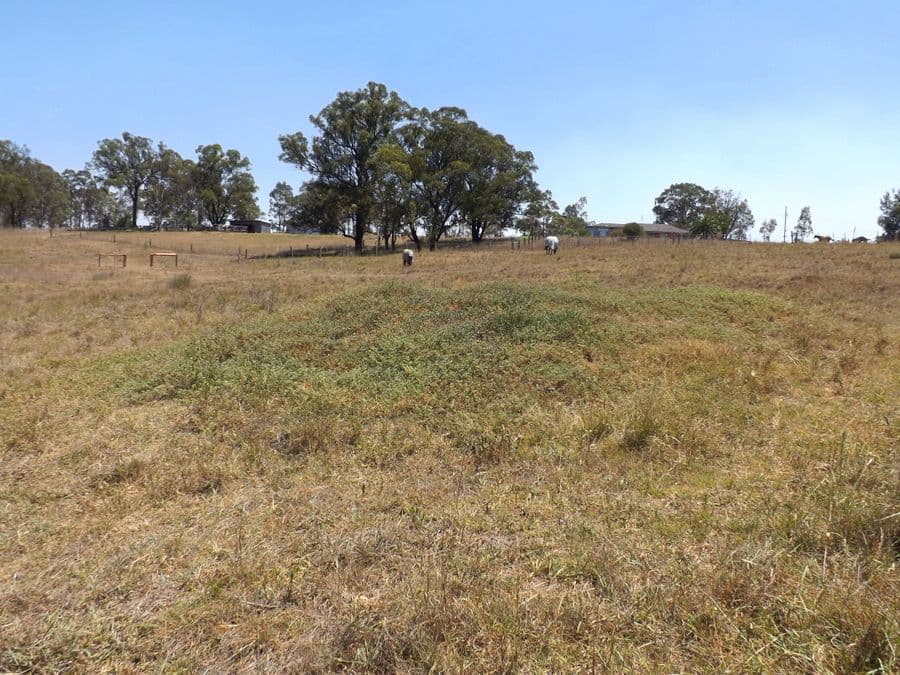 352 Bridgman Road, SINGLETON NSW 2330, Singleton - Thumbnail 8