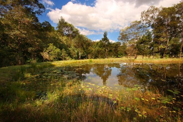 464 Image Flat Road, KUREELPA QLD 4560, Kureelpa - Thumbnail 4