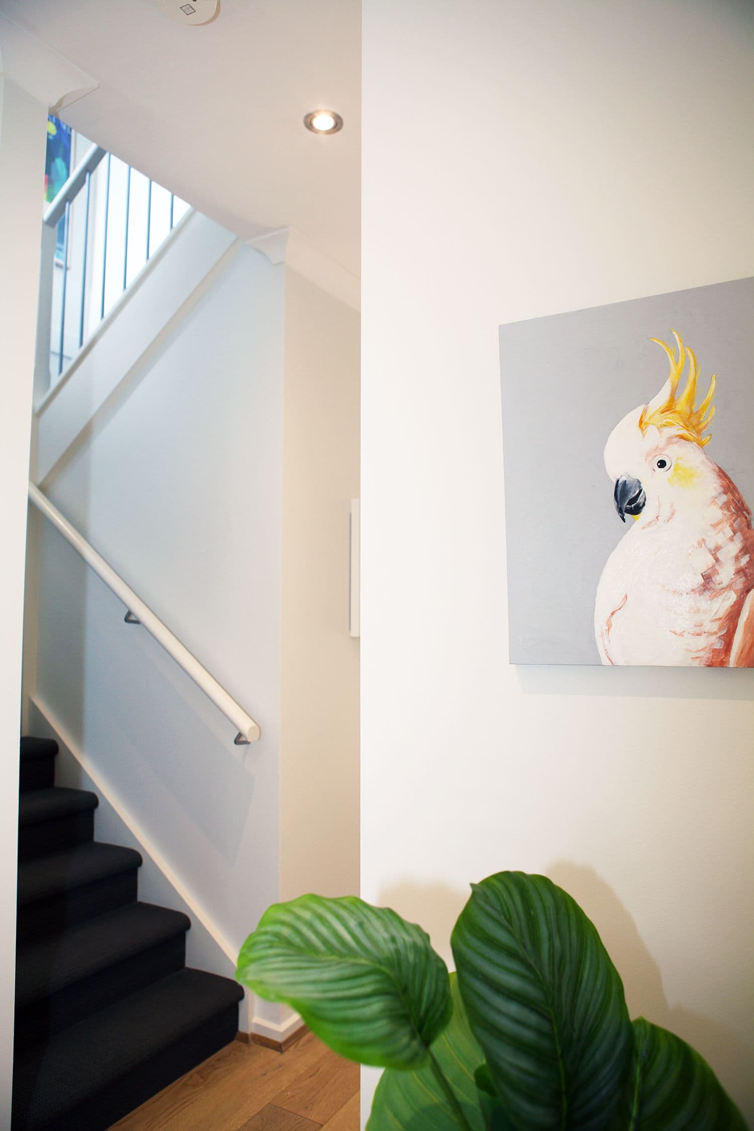 1A Newton Street, Reservoir VIC 3073, Reservoir - Thumbnail 7