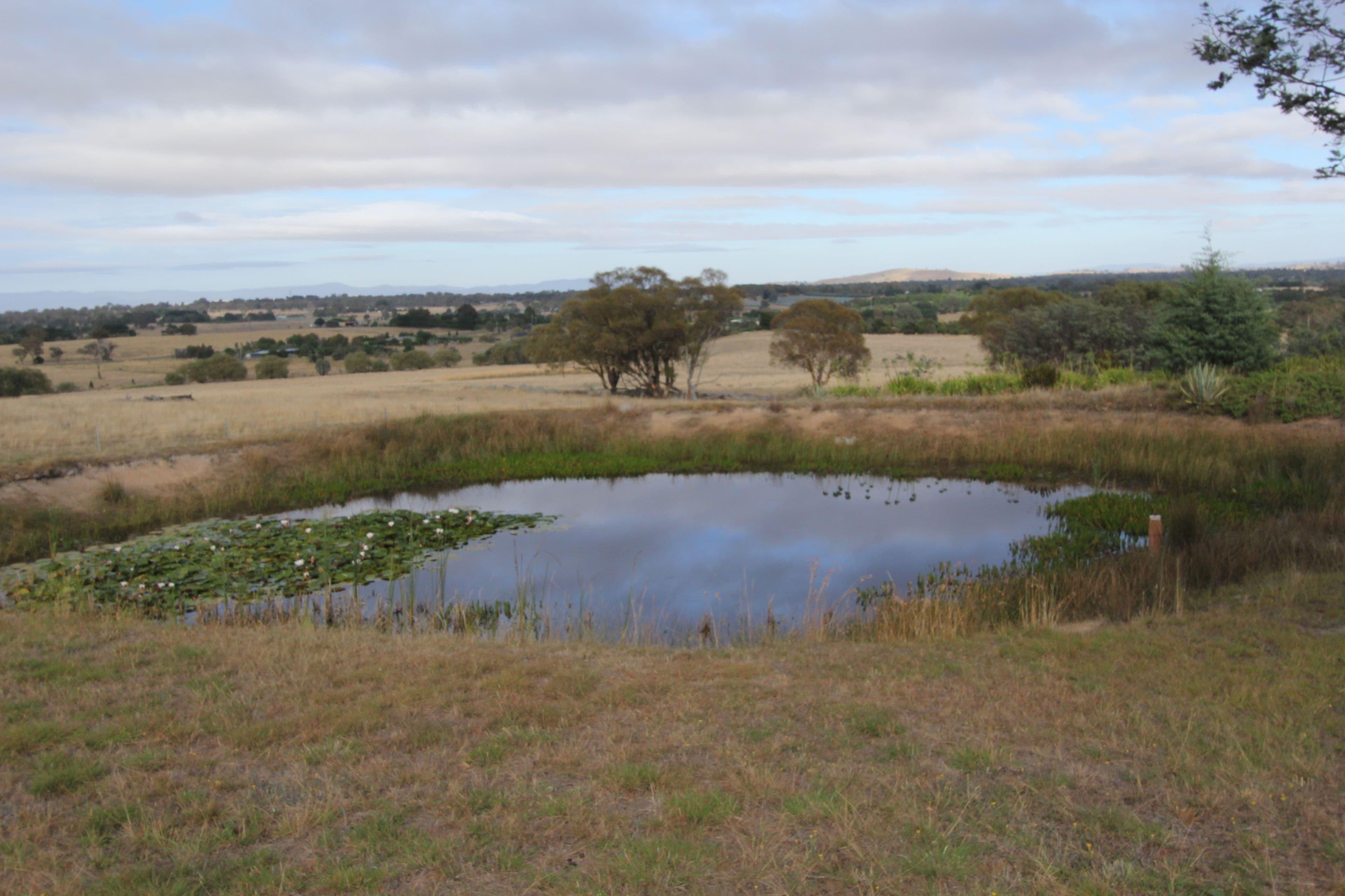 5 Broughton Circuit, Murrumbateman - Thumbnail 4