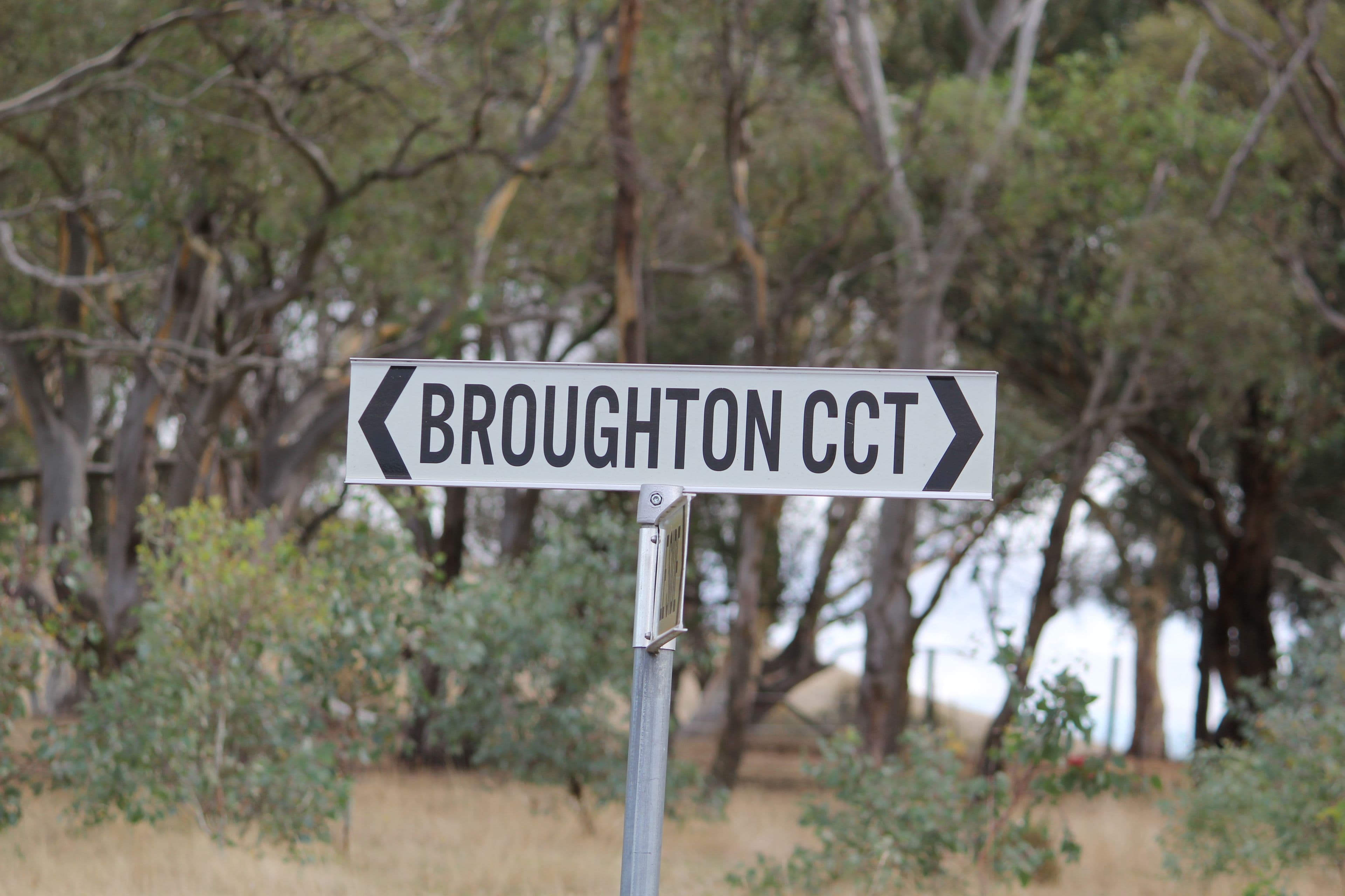 5 Broughton Circuit, Murrumbateman - Thumbnail 5