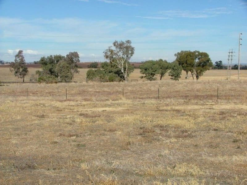 Lot 20 Taragala Street, COWRA NSW 2794, Cowra - Image 1