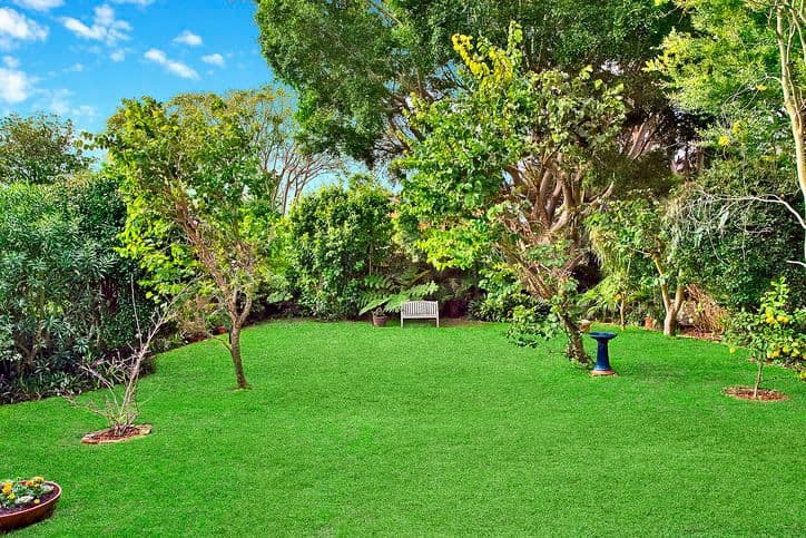 17 Cambridge Avenue, VAUCLUSE NSW 2030, Vaucluse - Thumbnail 5
