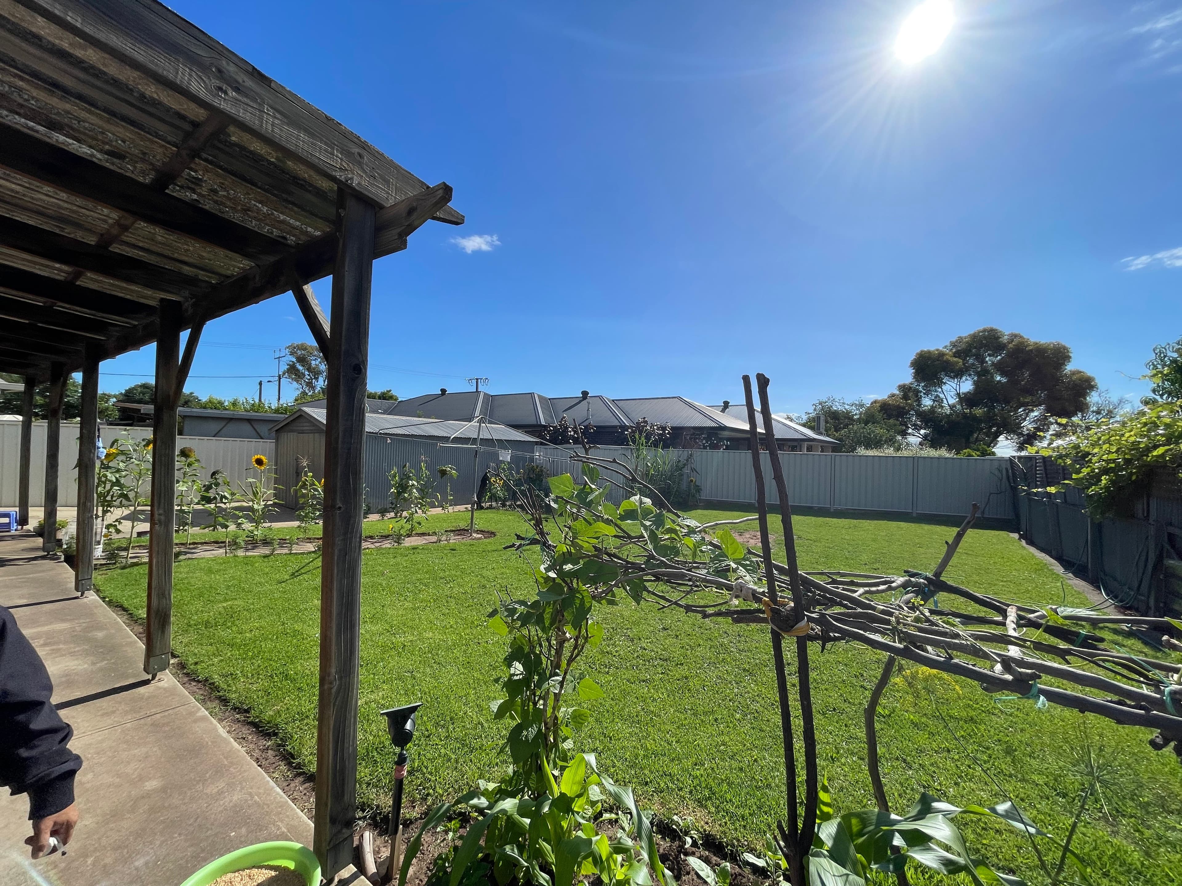 43 Rowe Avenue, Northfield SA 5085, Northfield - Thumbnail 3