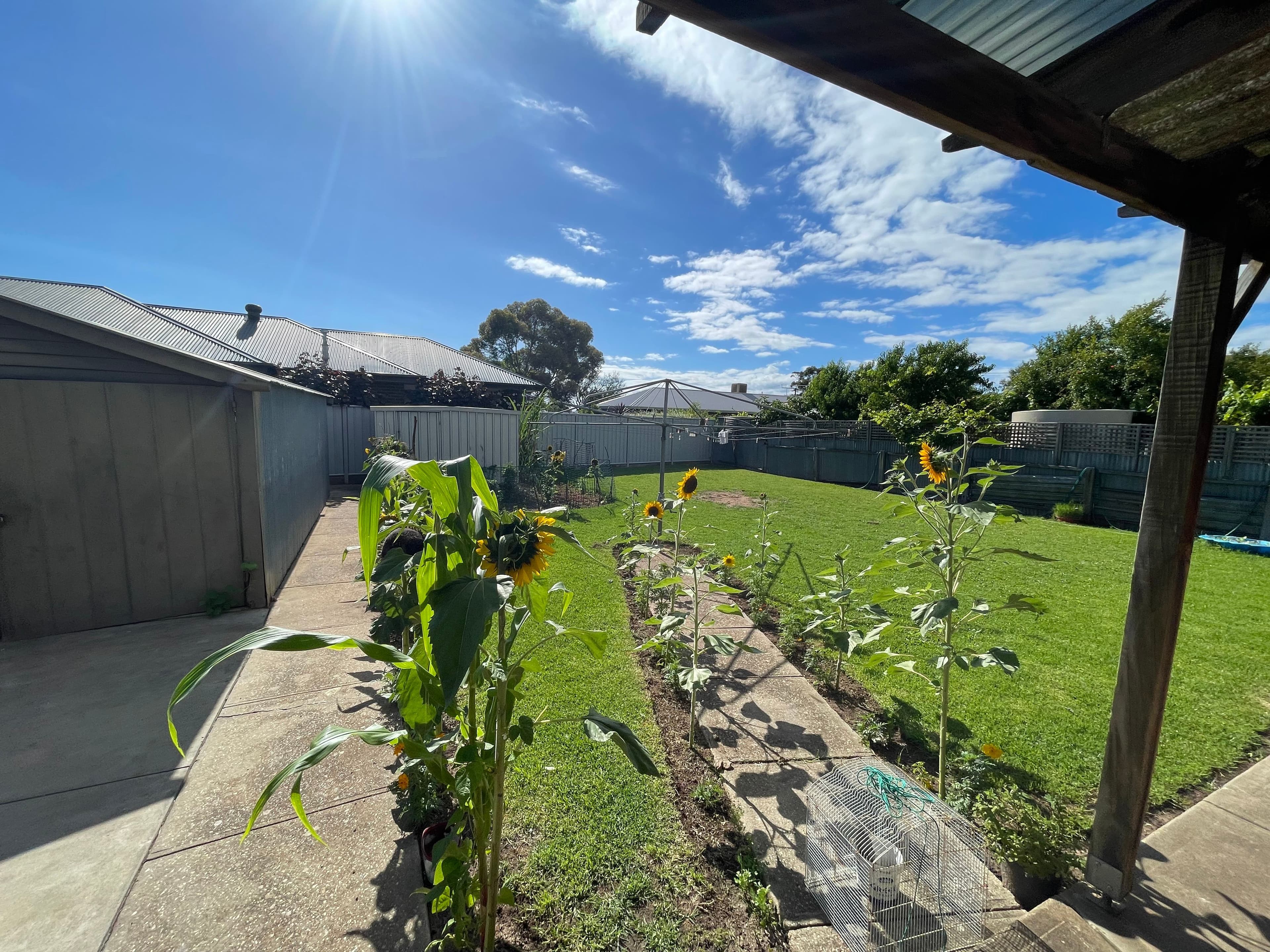 43 Rowe Avenue, Northfield SA 5085, Northfield - Thumbnail 4