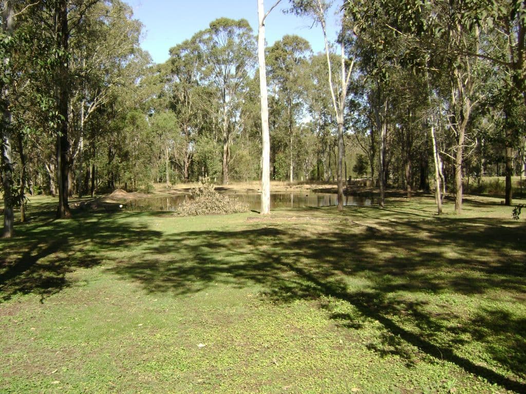 SOUTH MACLEAN QLD 4280, South Maclean - Thumbnail 5