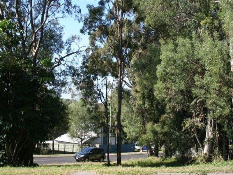 1 Tanah Street West, COOLUM BEACH QLD 4573, Coolum Beach - Thumbnail 3