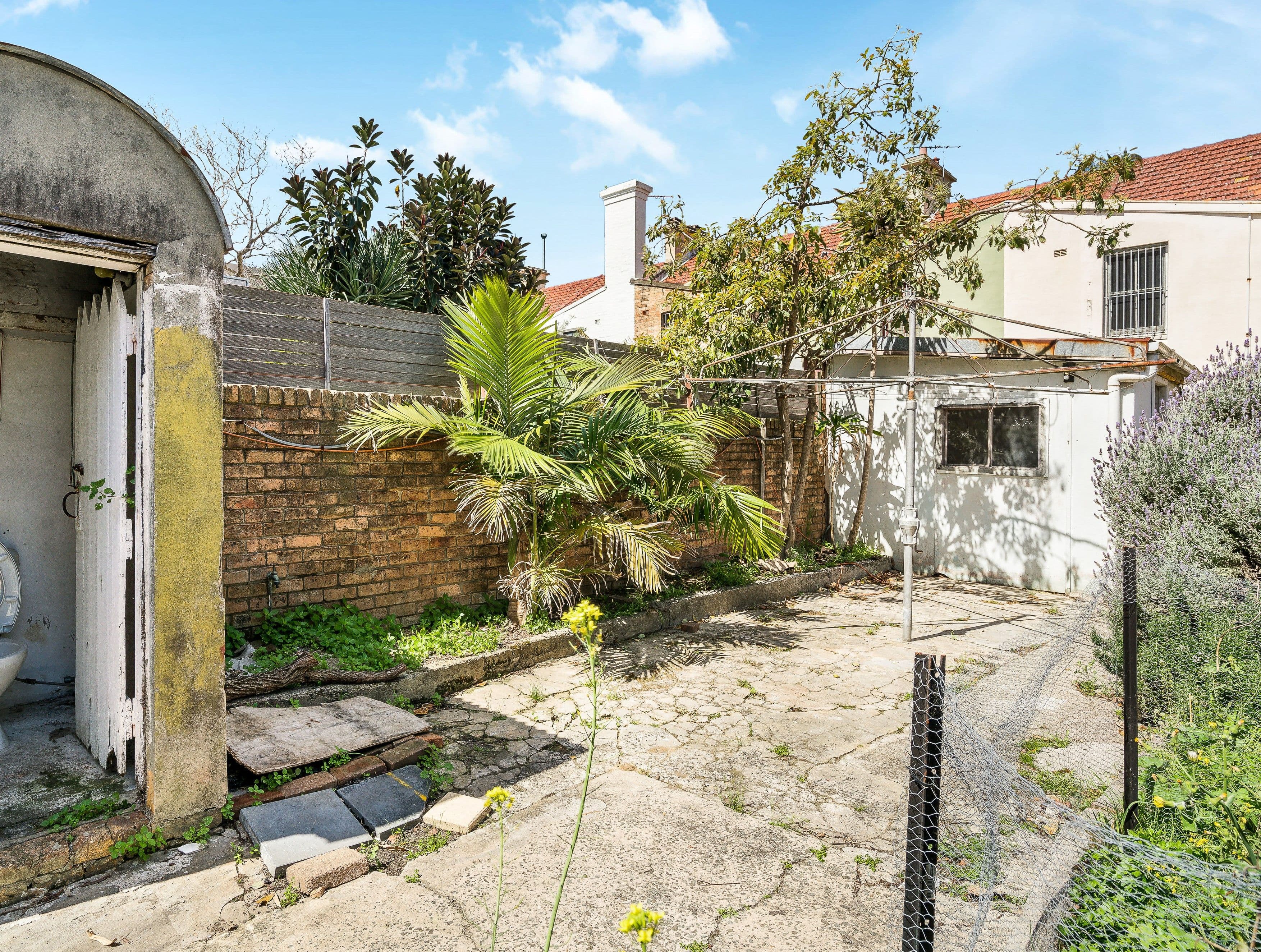 12 Wigram Road, Glebe NSW 2037, Glebe - Thumbnail 4