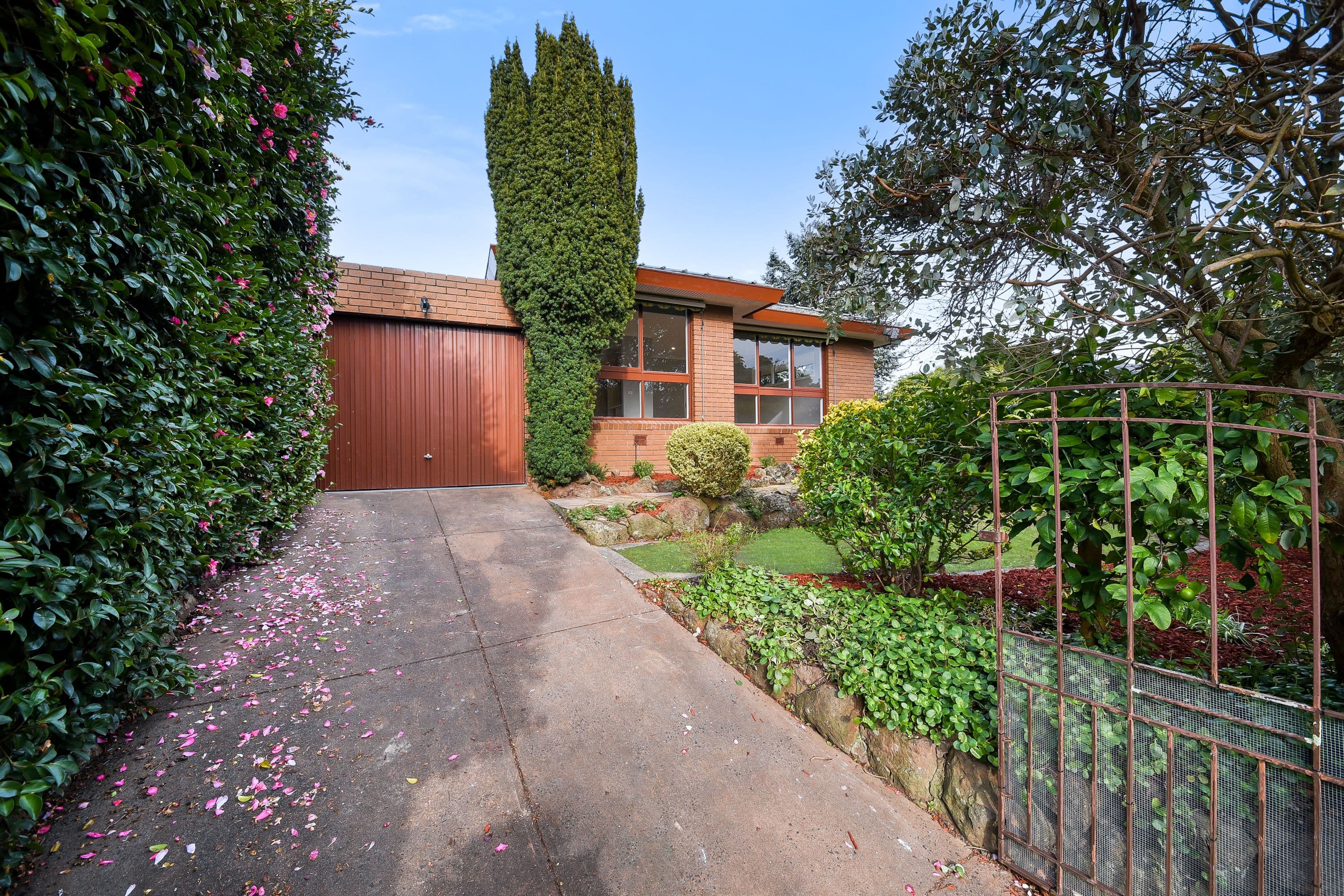 20 Brolga Street, Mount Waverley VIC 3149, Mount Waverley - Image 1