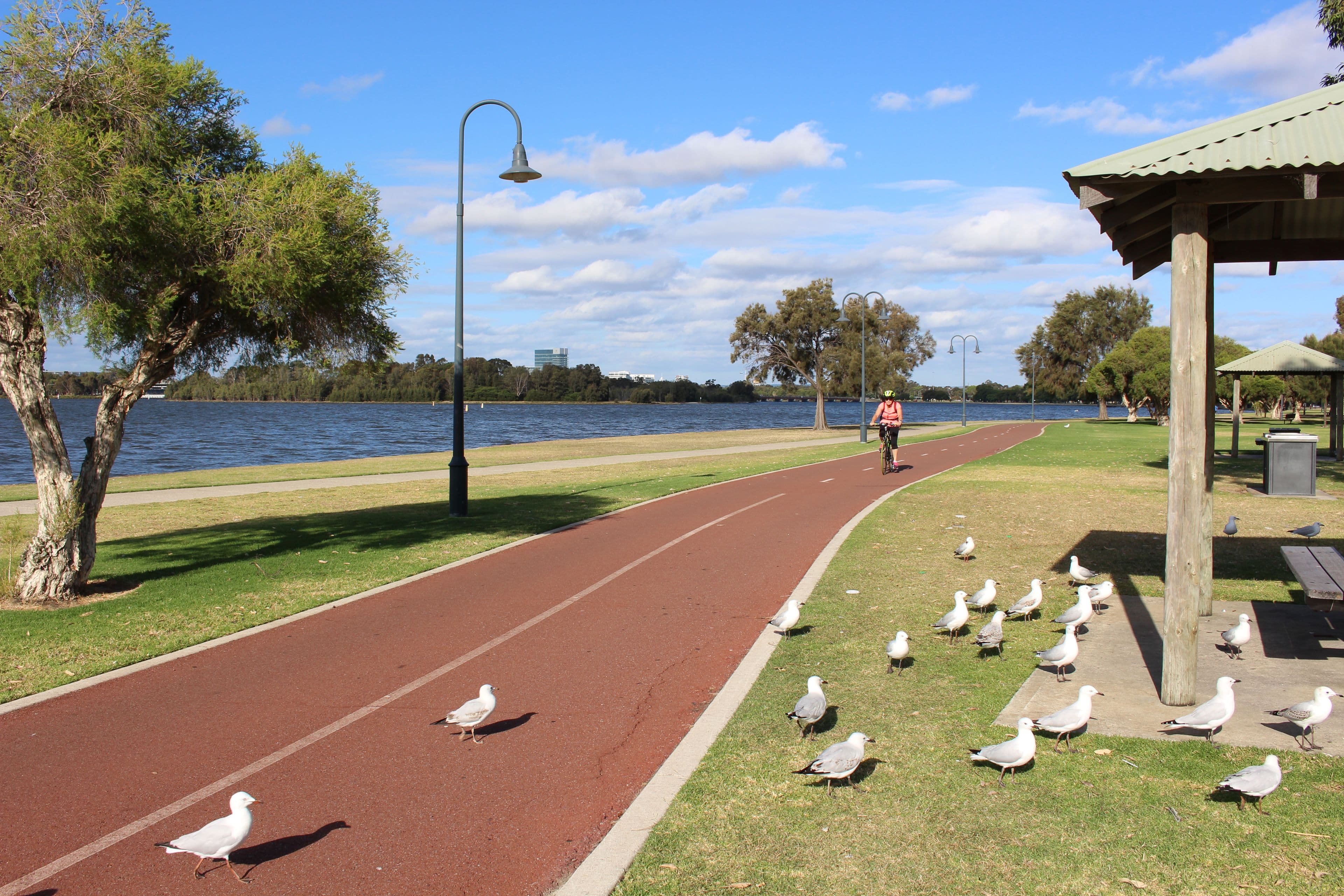 4 Hurlingham Road, South Perth WA 6151, South Perth - Thumbnail 6