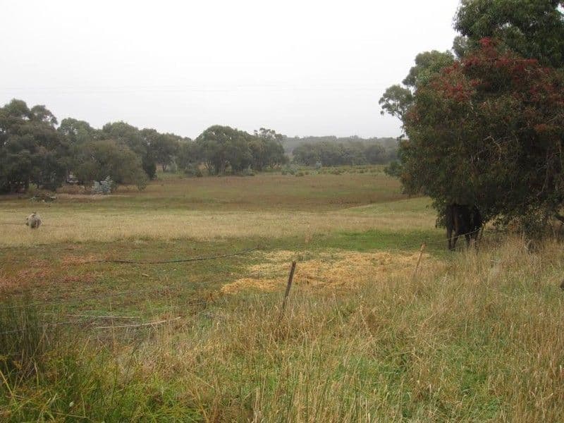127 Plantation Road, HEATHCOTE VIC 3523, Heathcote - Thumbnail 4