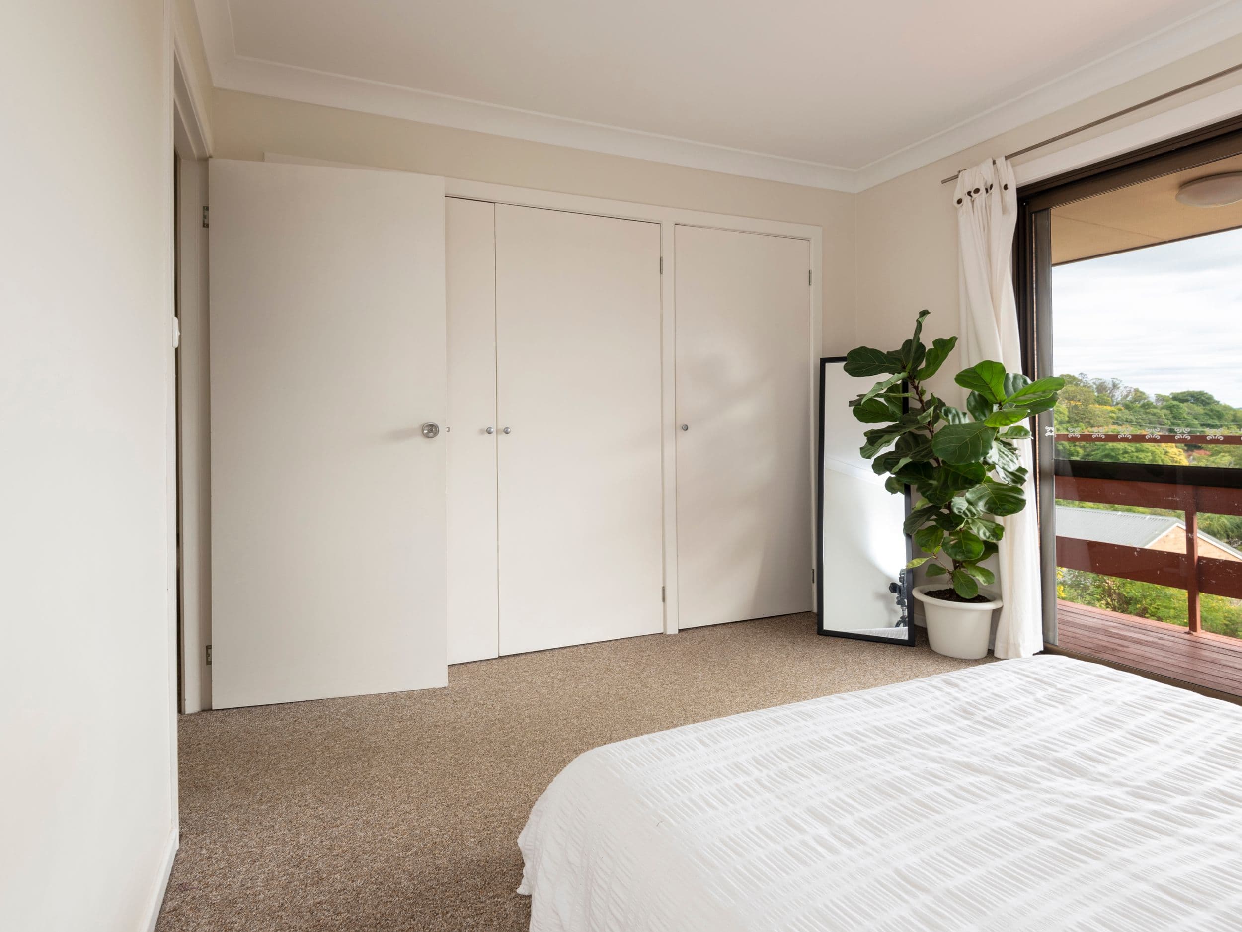 29 Carolina Street, Lismore Heights NSW 2480, Lismore Heights - Thumbnail 8