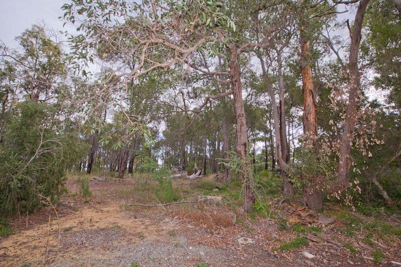 168 Carmel Road, CARMEL WA 6076, Carmel - Thumbnail 5