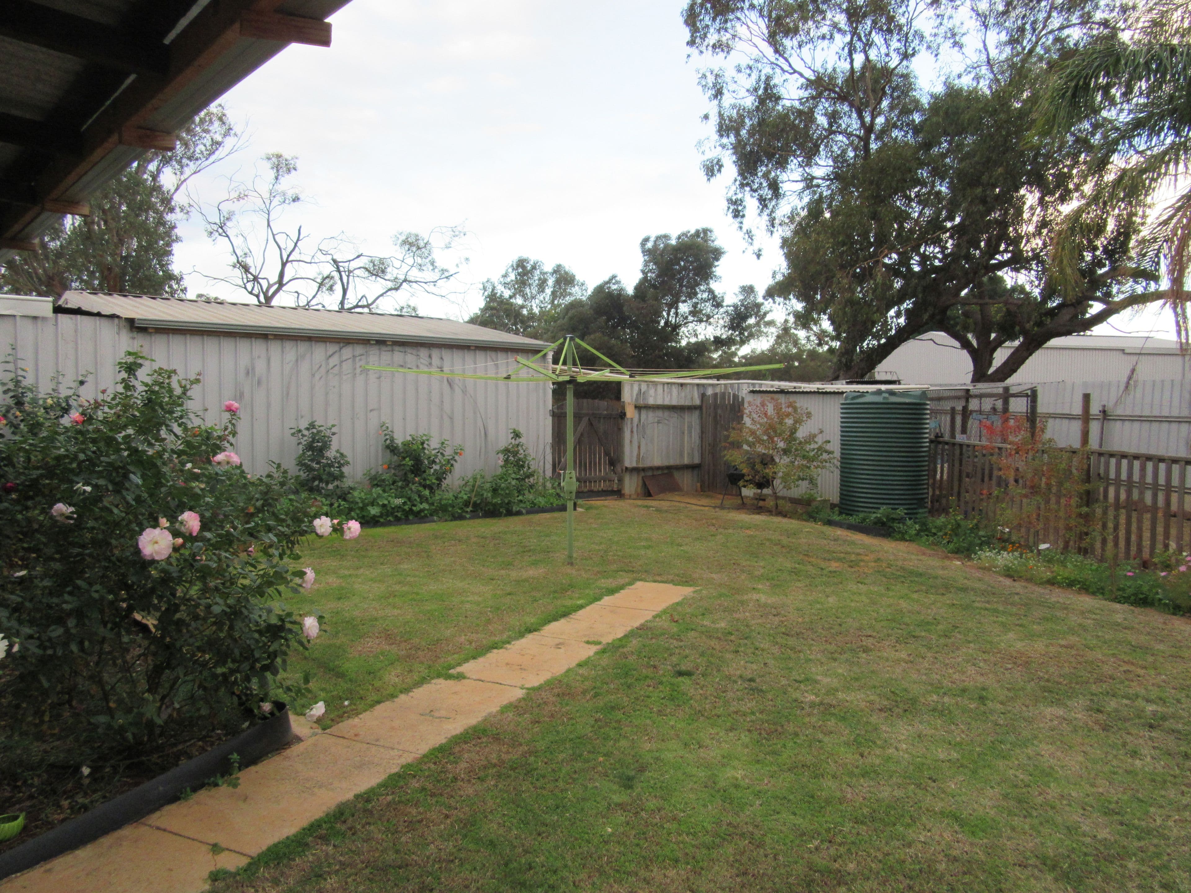 2 Touche Street, Three Springs WA 6519, Three Springs - Thumbnail 2