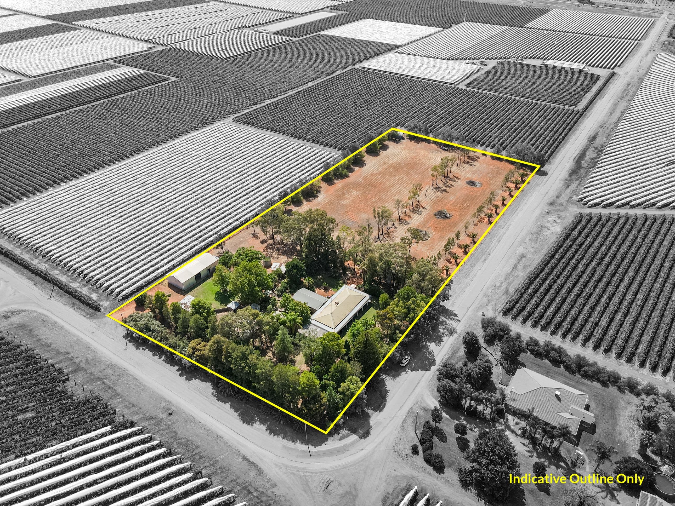 82 New Britain Road, Robinvale VIC 3549, Robinvale - Thumbnail 4