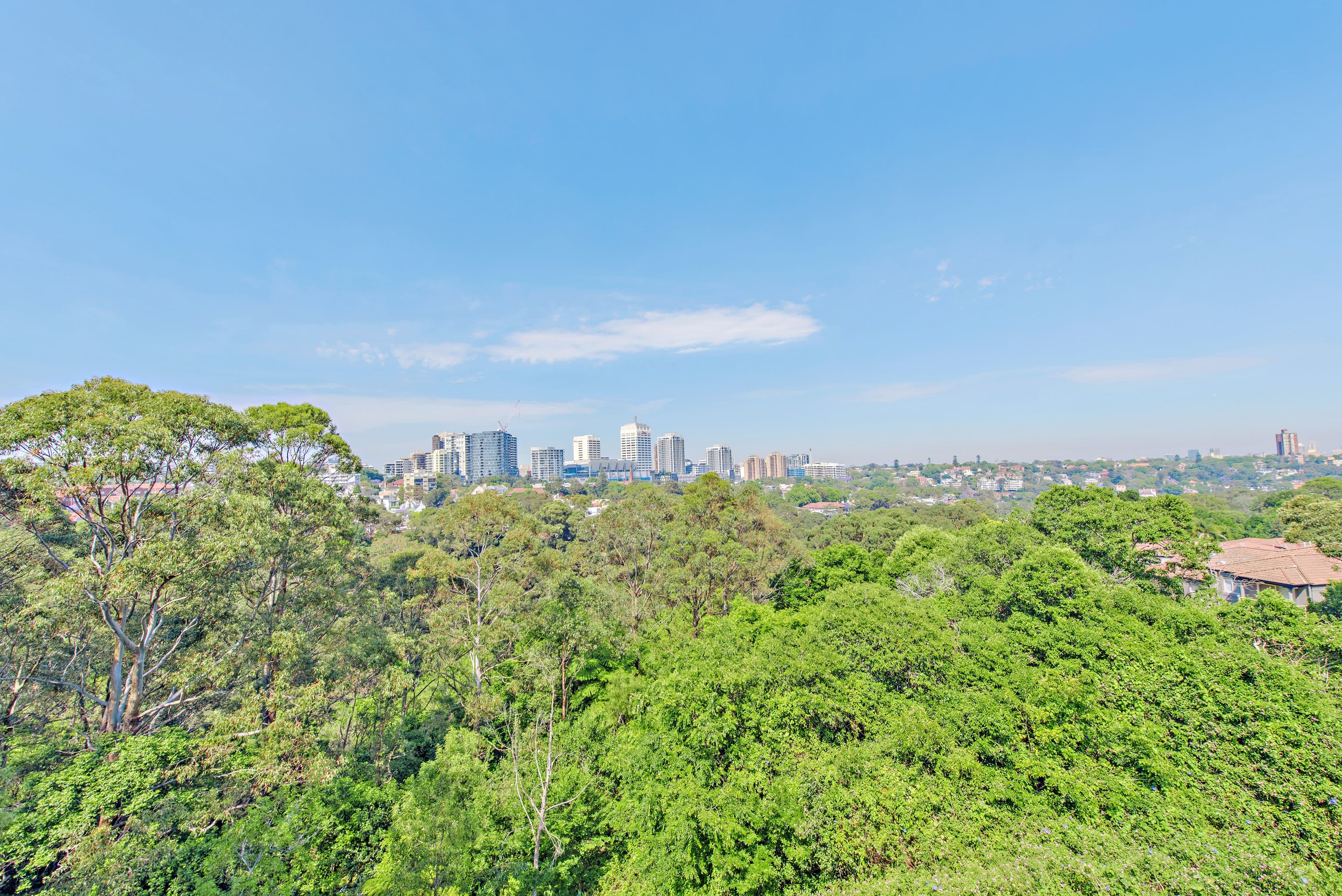 38 Bellevue Road, Bellevue Hill NSW 2023, Bellevue Hill - Thumbnail 5