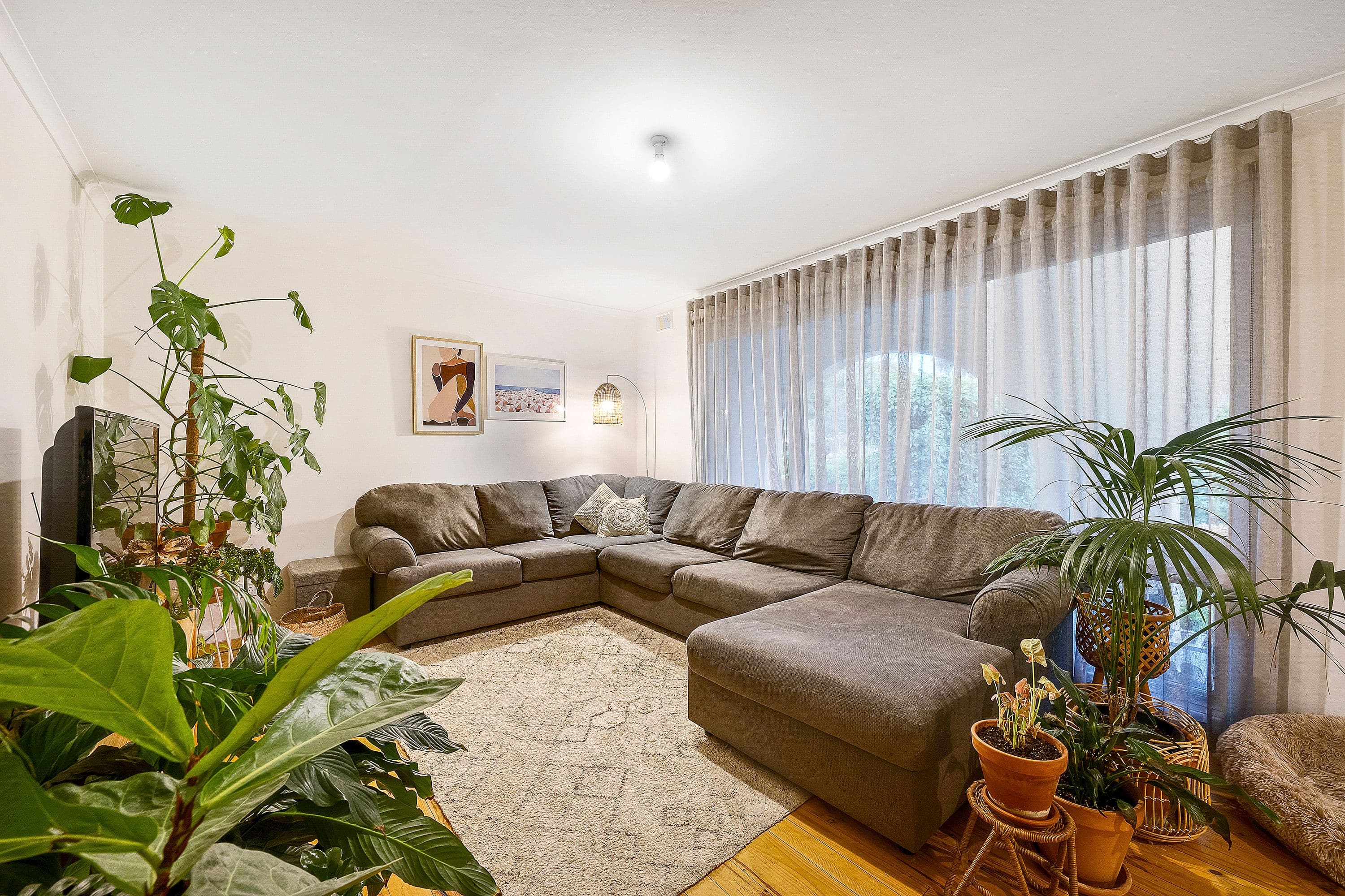 31 Wood Road, Paradise SA 5075, Paradise - Thumbnail 5