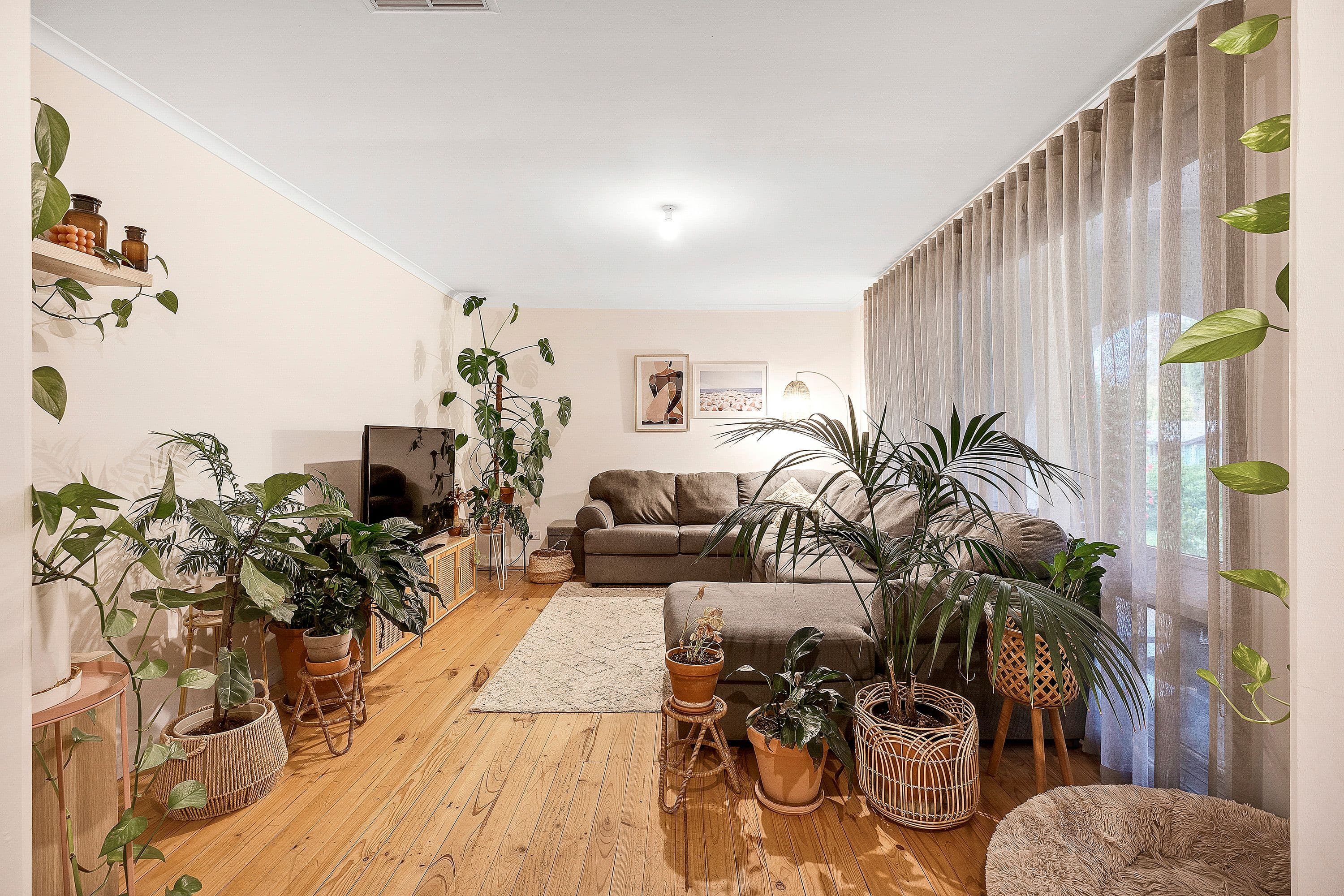 31 Wood Road, Paradise SA 5075, Paradise - Thumbnail 6