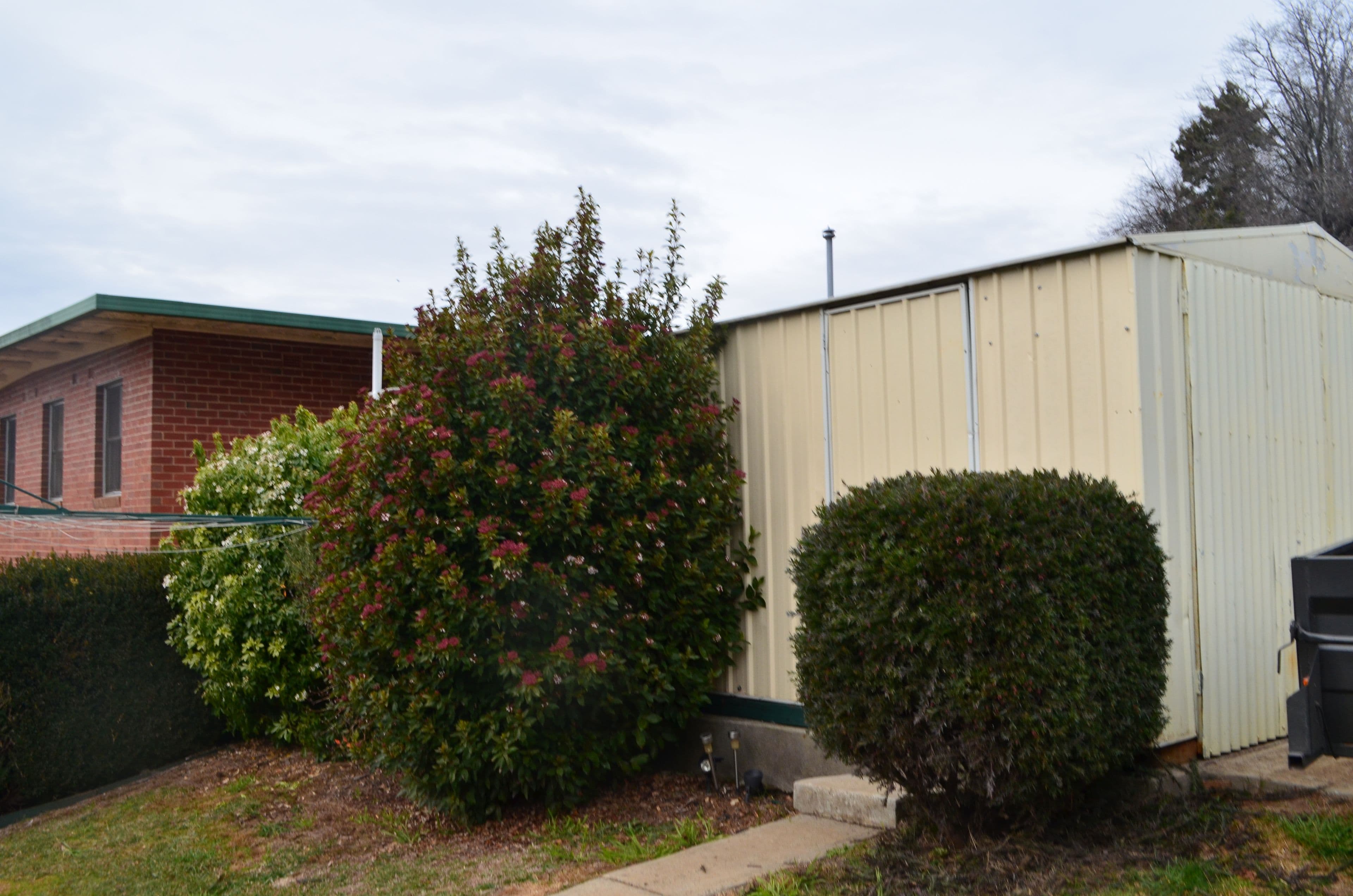 38 Bartoman Street, Batlow - Thumbnail 8
