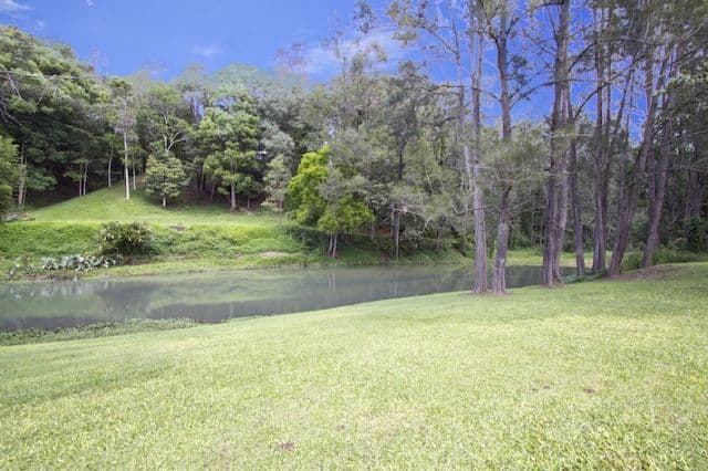 757 Tallebudgera Creek Road, TALLEBUDGERA QLD 4228, Tallebudgera Valley - Thumbnail 5