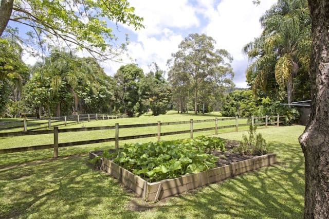 757 Tallebudgera Creek Road, TALLEBUDGERA QLD 4228, Tallebudgera Valley - Thumbnail 8