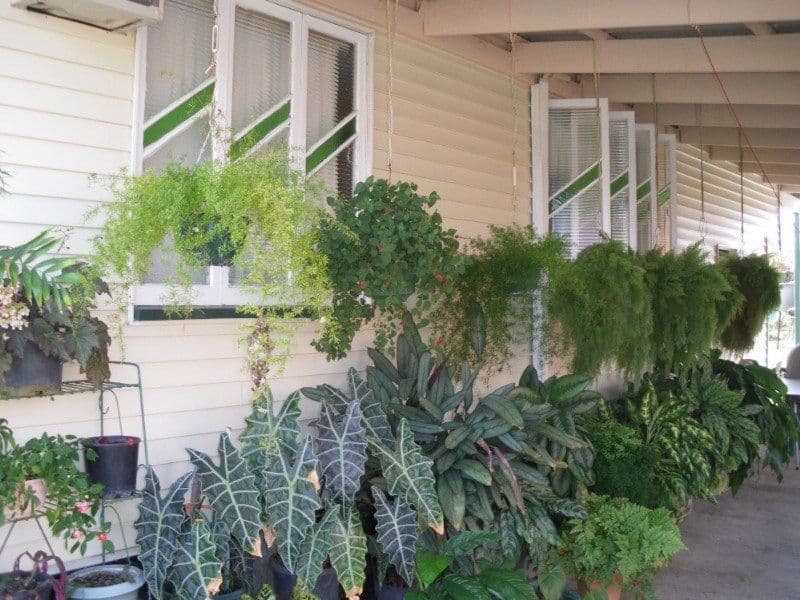 EL ARISH QLD 4855, El Arish - Thumbnail 3