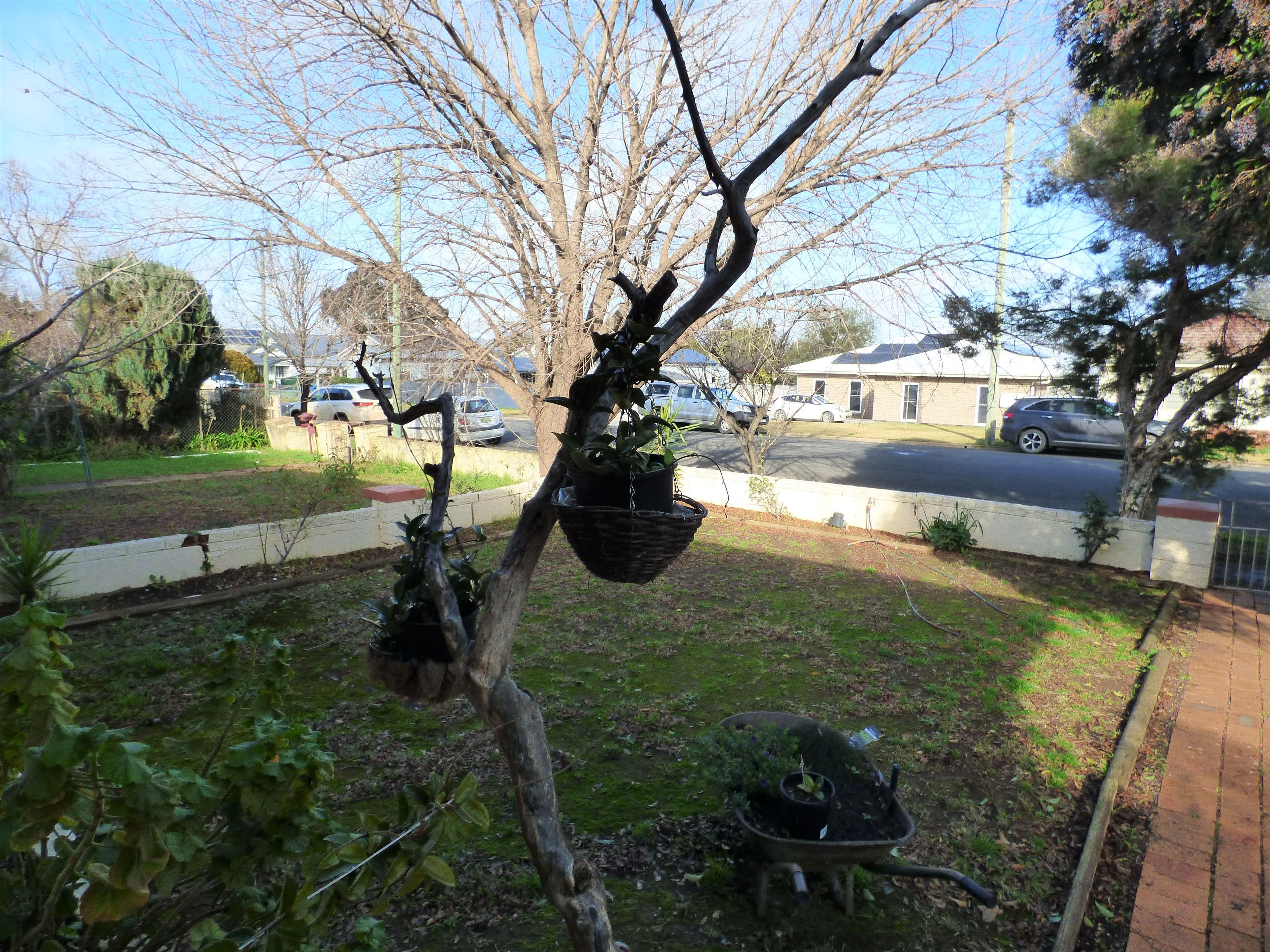 15 Grenfell Street, Forbes NSW 2871, Forbes - Thumbnail 2