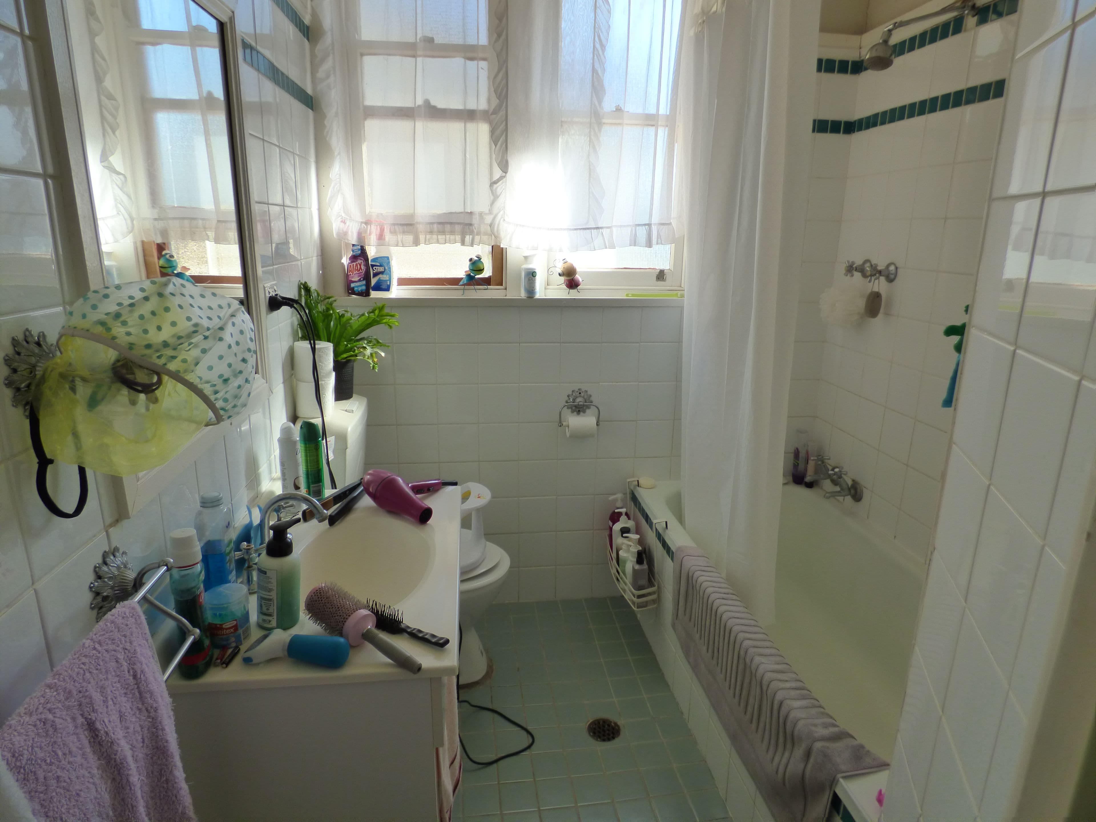 15 Grenfell Street, Forbes NSW 2871, Forbes - Thumbnail 5