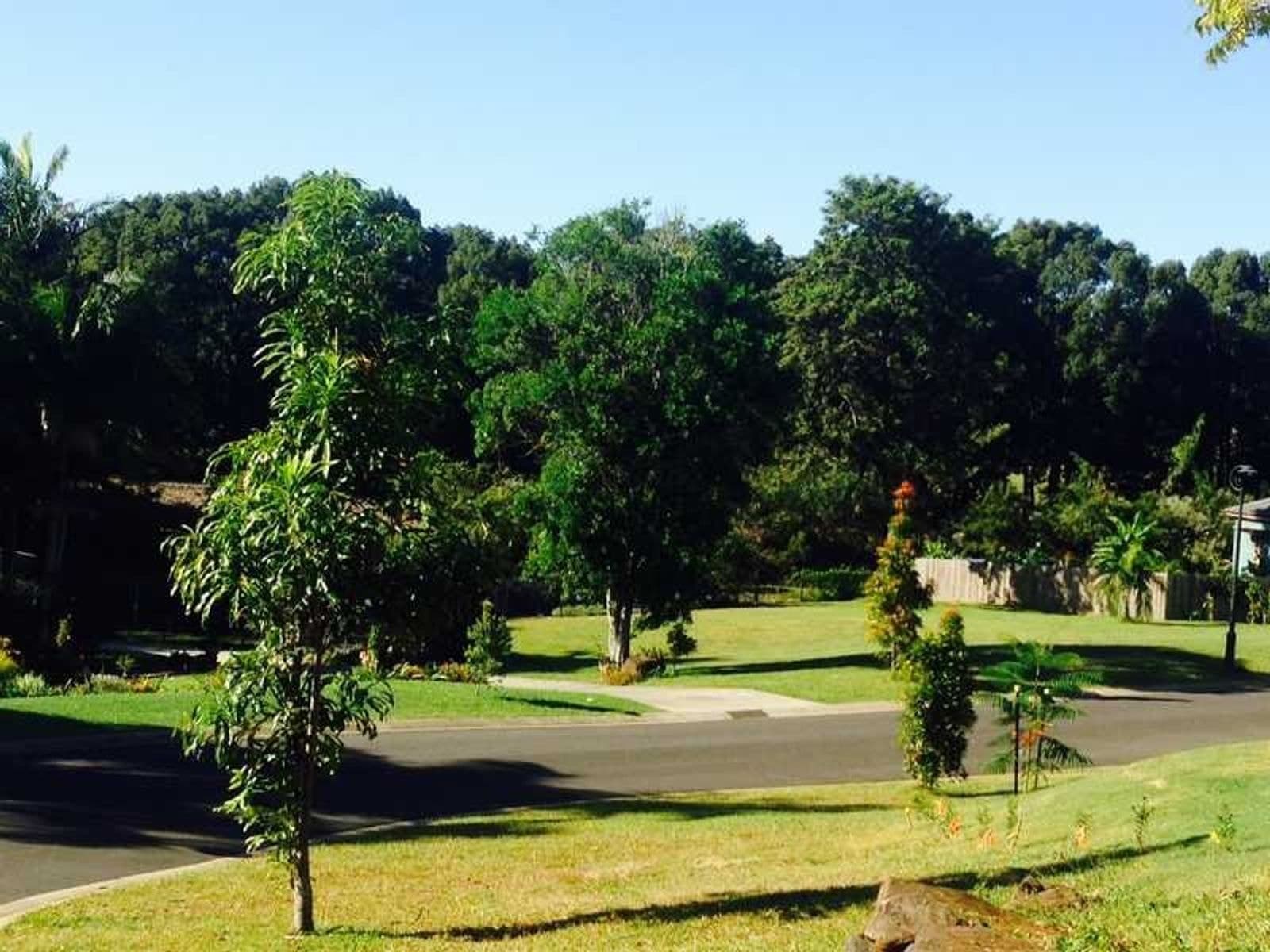 Lot 4 Lot 4 Green Frog Lane, Bangalow - Thumbnail 4