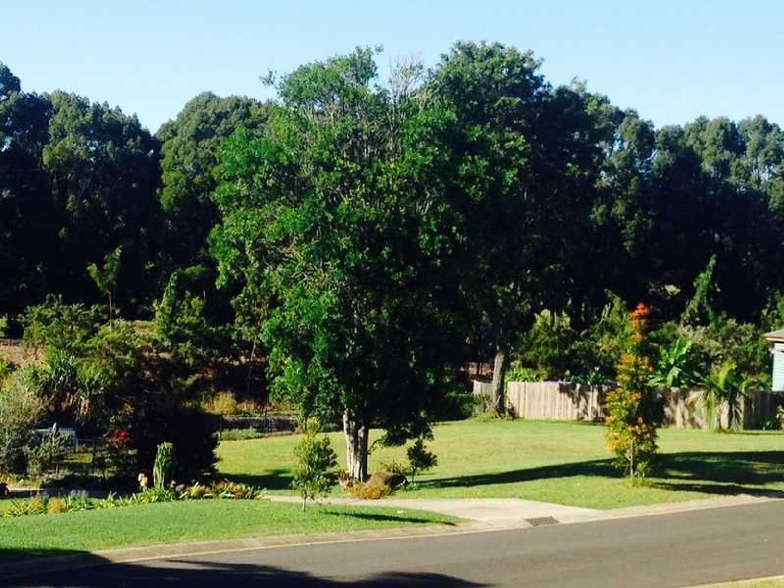Lot 4 Lot 4 Green Frog Lane, Bangalow - Thumbnail 8