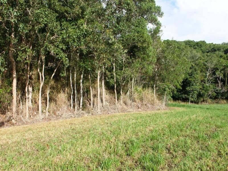 Lot 12 Thomson Low Drive, SHANNONVALE QLD 4873, Shannonvale - Thumbnail 4