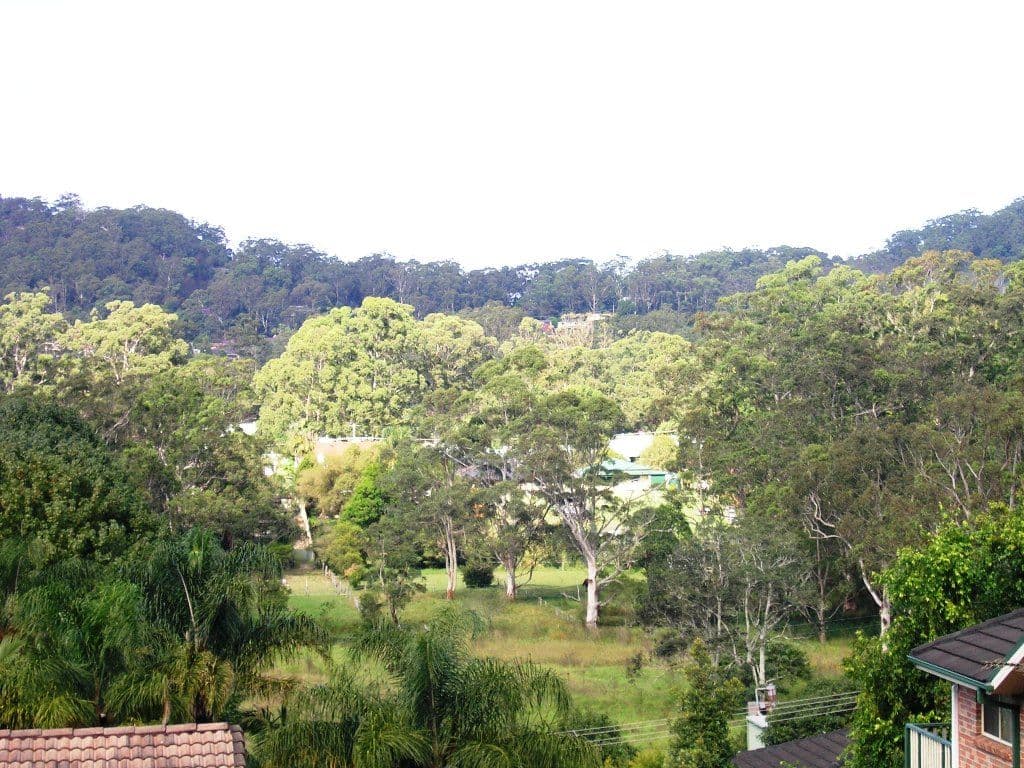 17 Boulder Crescent, NARARA NSW 2250, Narara - Thumbnail 6