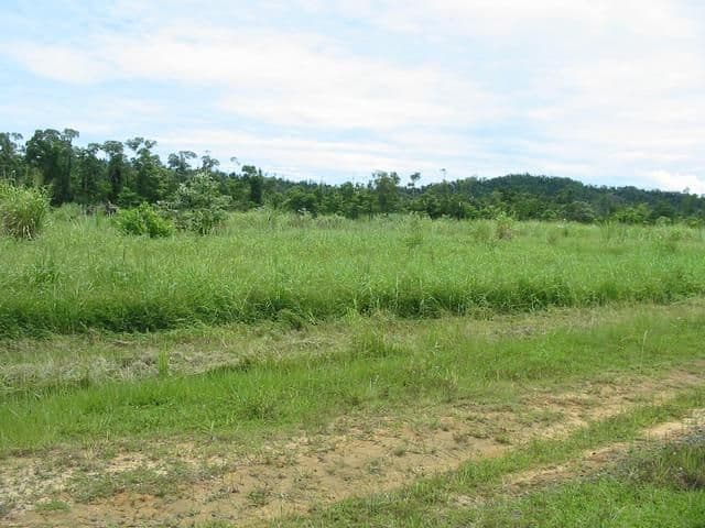 MENA CREEK QLD 4871, Mena Creek - Thumbnail 3