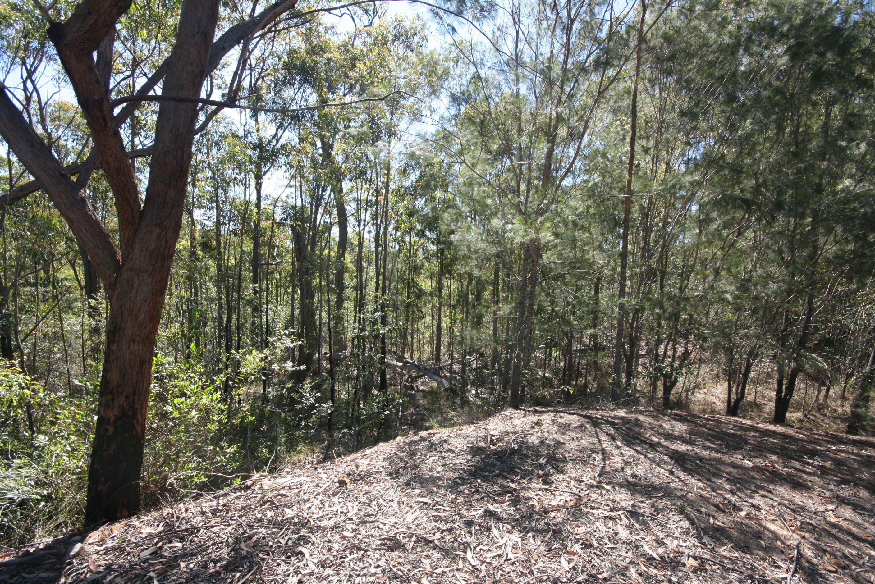 204 Coaldale Road, The Pinnacles NSW 2460, The Pinnacles - Thumbnail 2