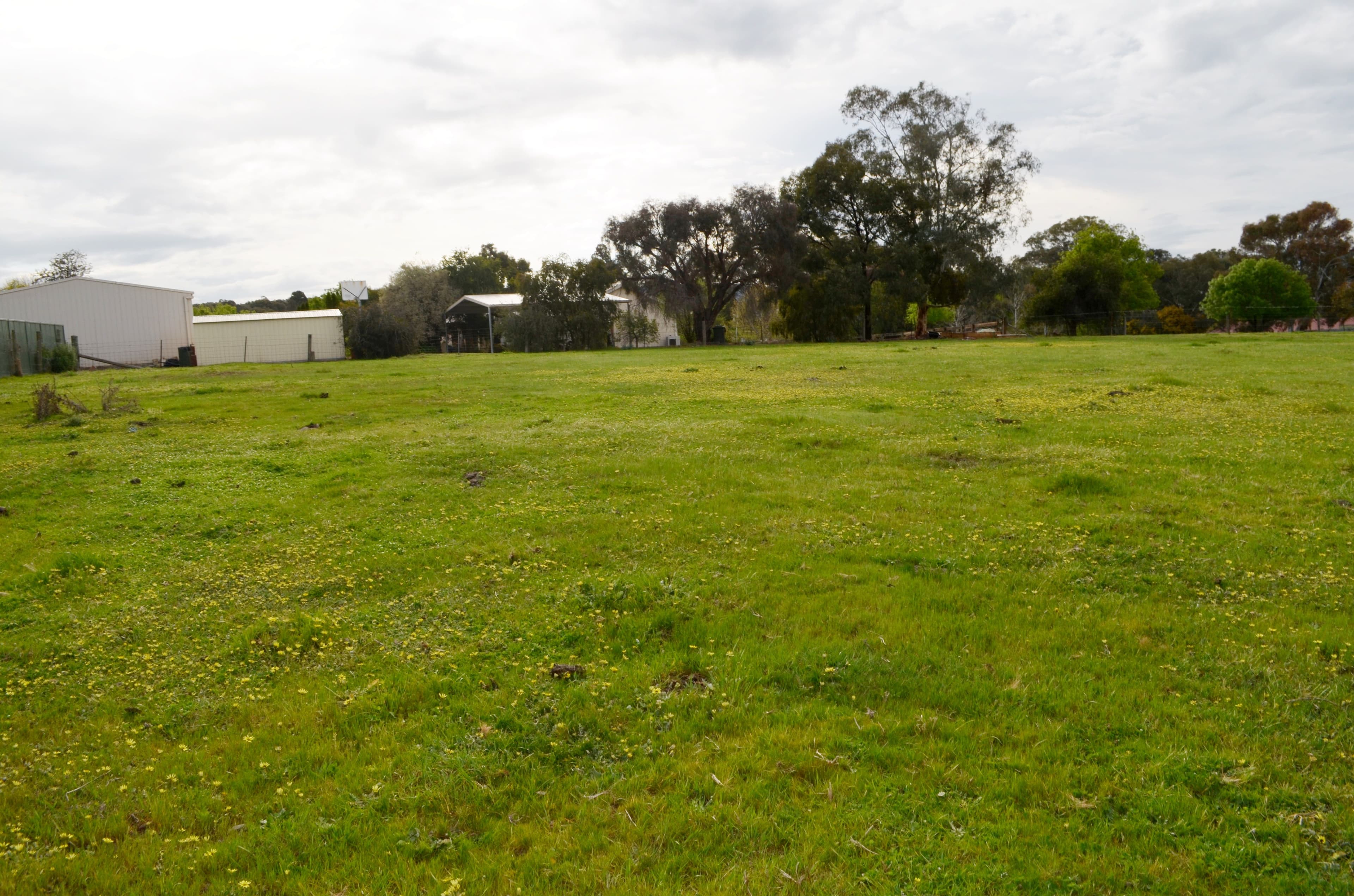 57-61 East Street, Tumut NSW 2720, Tumut - Thumbnail 2