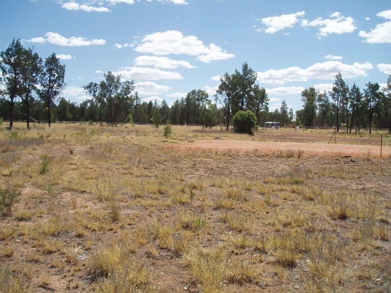 17 Banjarra Drive, CHARLEVILLE QLD 4470, Charleville - Thumbnail 5
