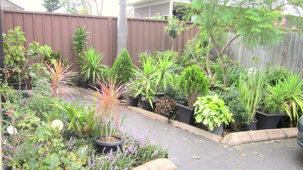 17-21 GUILDFORD Road, GUILDFORD NSW 2161, Guildford - Thumbnail 8