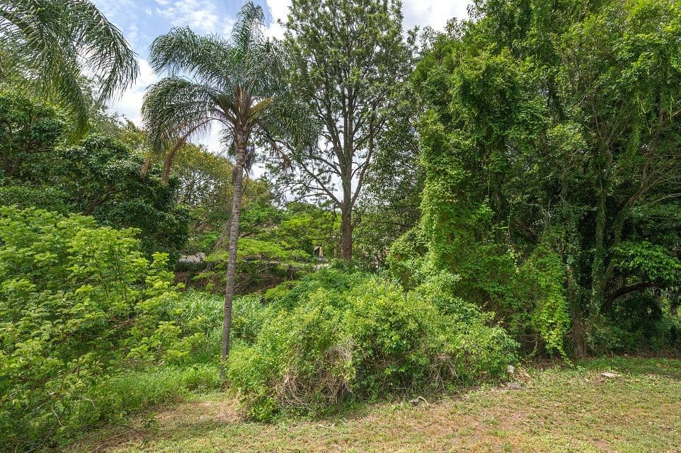 20 Hartfield Drive, BARDON QLD 4065, Bardon - Thumbnail 5