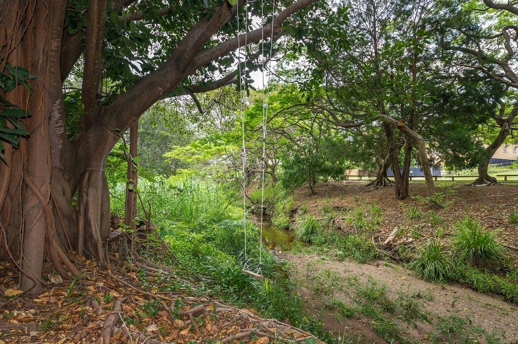 20 Hartfield Drive, BARDON QLD 4065, Bardon - Thumbnail 6