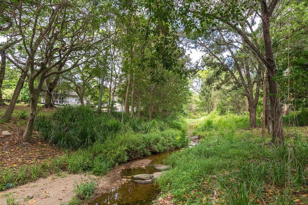 20 Hartfield Drive, BARDON QLD 4065, Bardon - Thumbnail 7