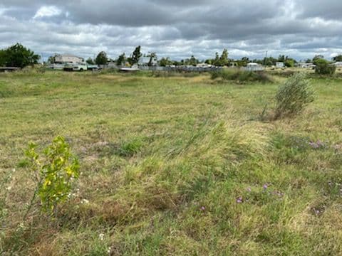18 Earl Street, Jondaryan QLD 4403, Jondaryan - Thumbnail 6