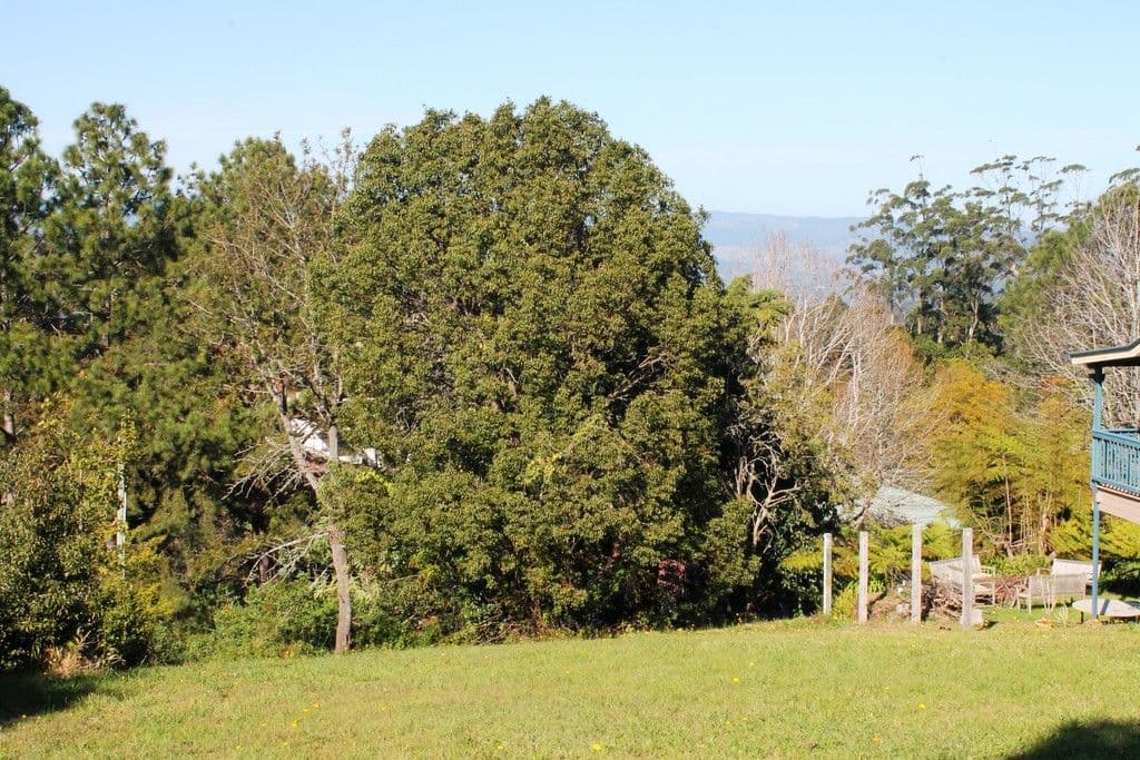 72 Pacific Parade, Tamborine Mountain QLD 4272, Tamborine Mountain - Thumbnail 2