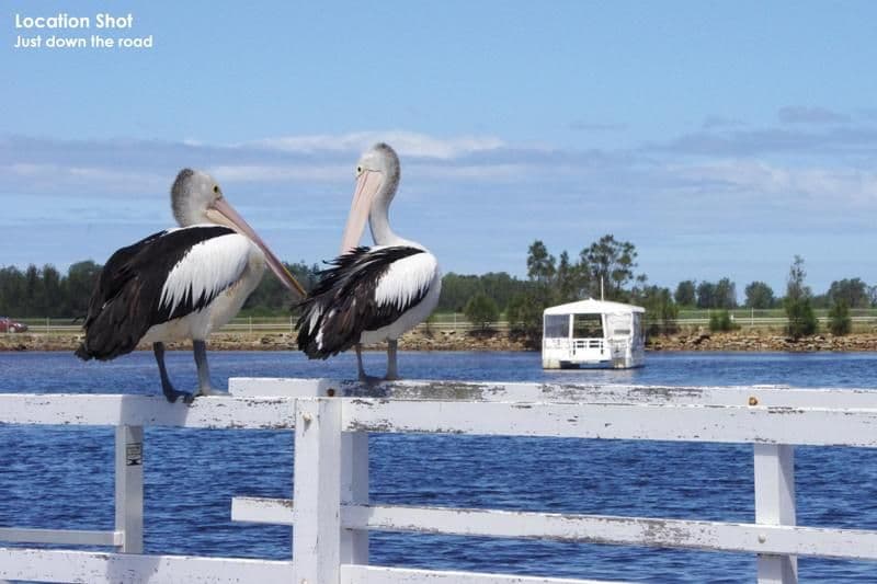 2 Balmoral Road, BURRILL LAKE NSW 2539, Burrill Lake - Thumbnail 3