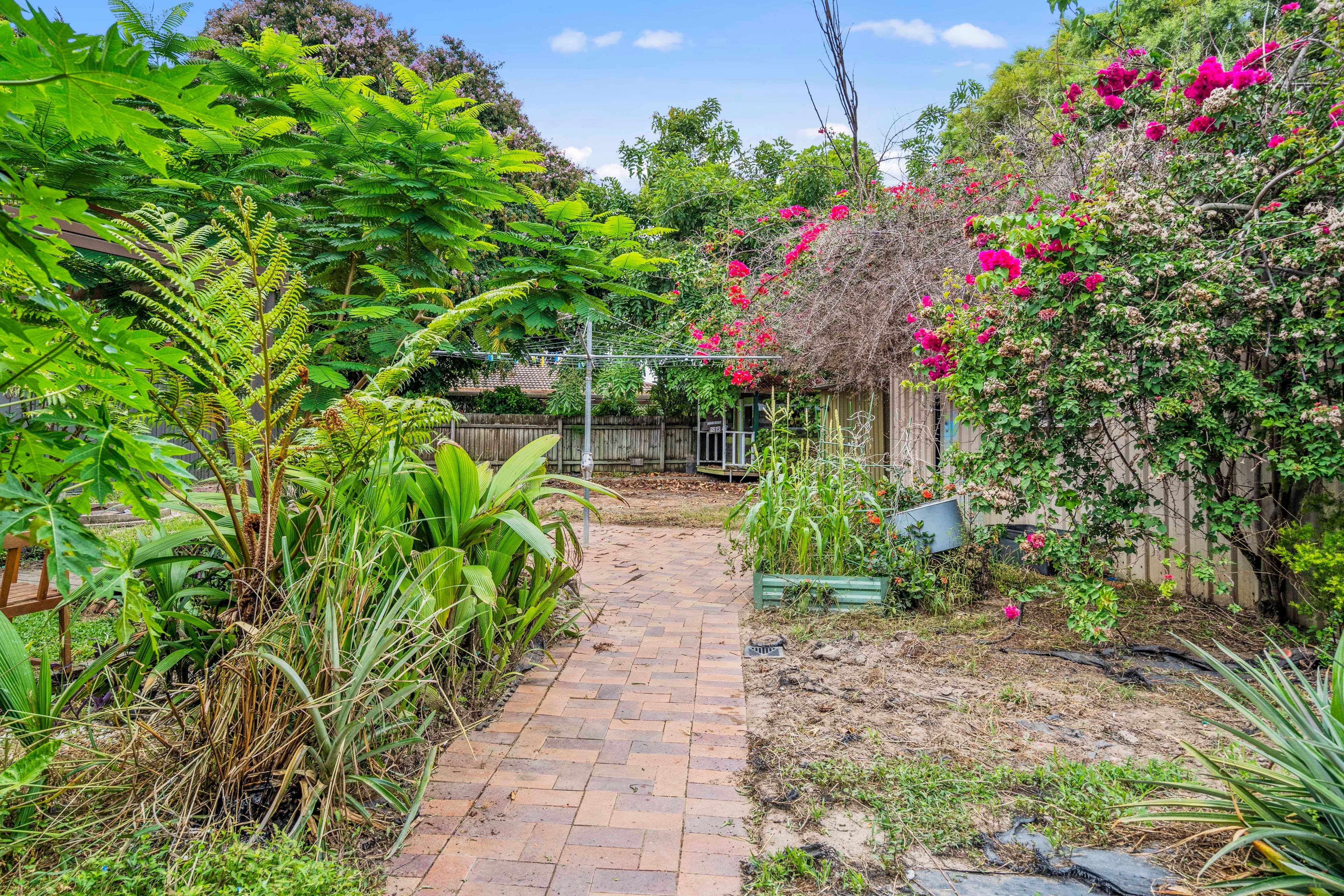 39 Minti Street, Maroochydore QLD 4558, Maroochydore - Thumbnail 7