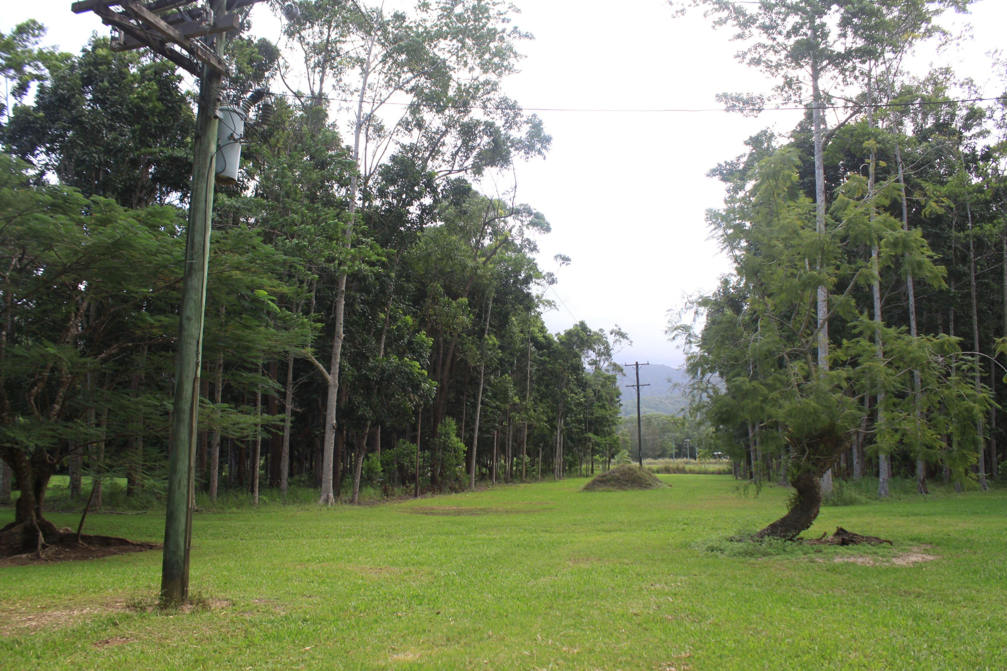 1 Richards Road, Julatten QLD 4871, Julatten - Thumbnail 2
