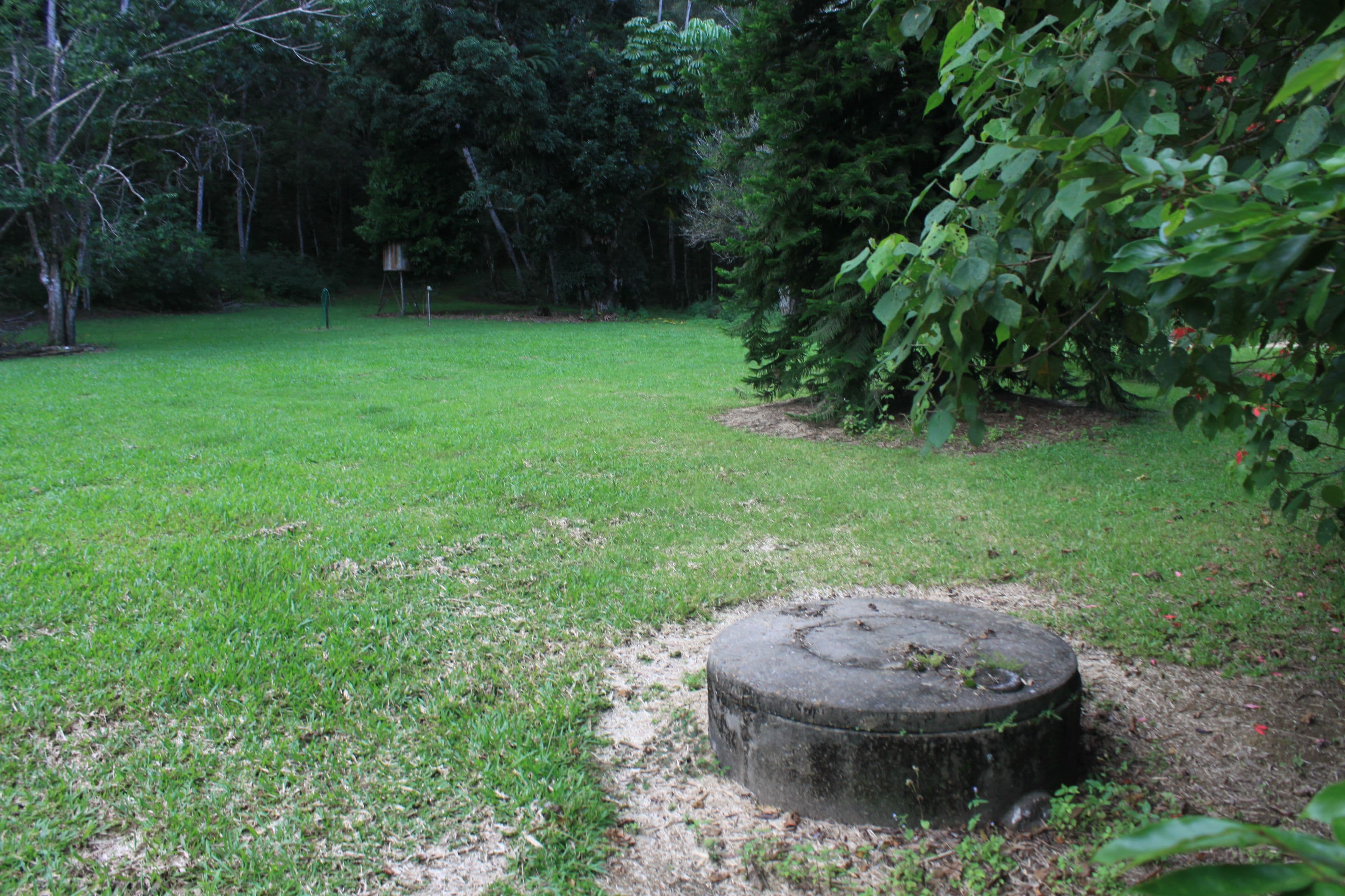 1 Richards Road, Julatten QLD 4871, Julatten - Thumbnail 8