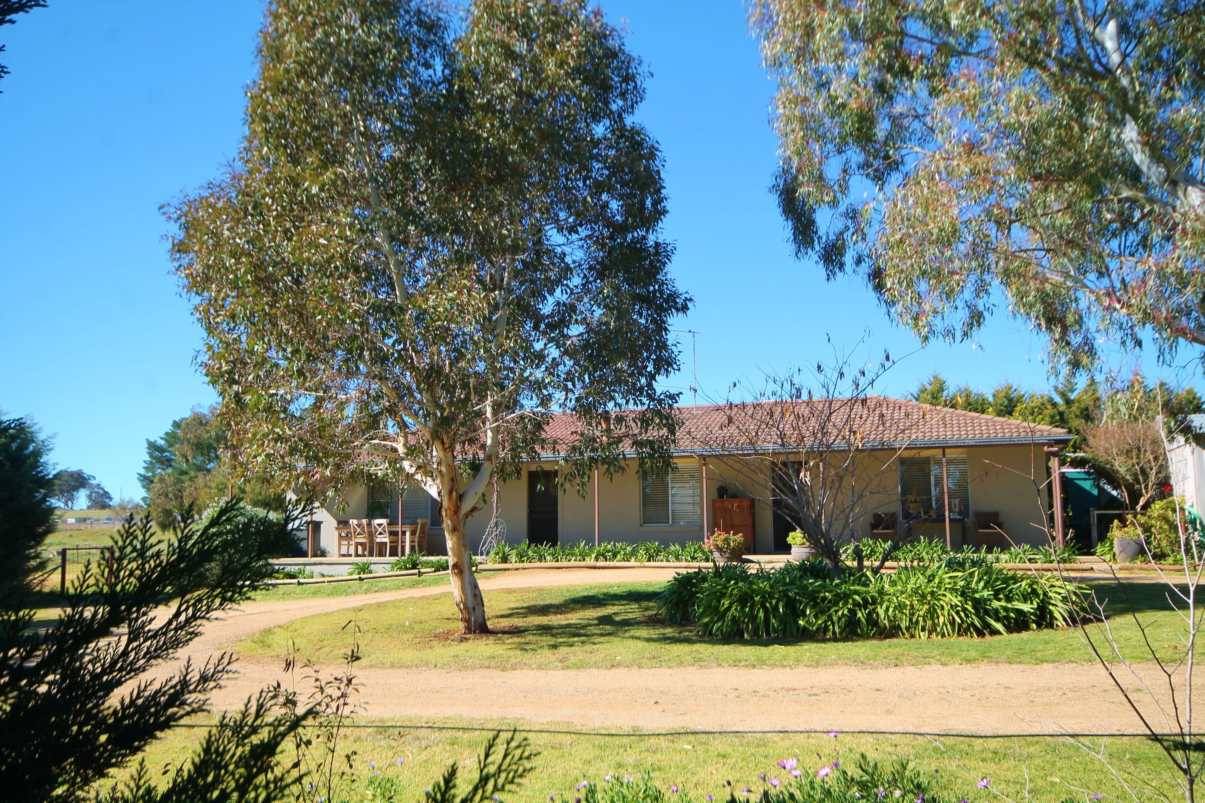 111 Ricketts Road, Young - Image 1