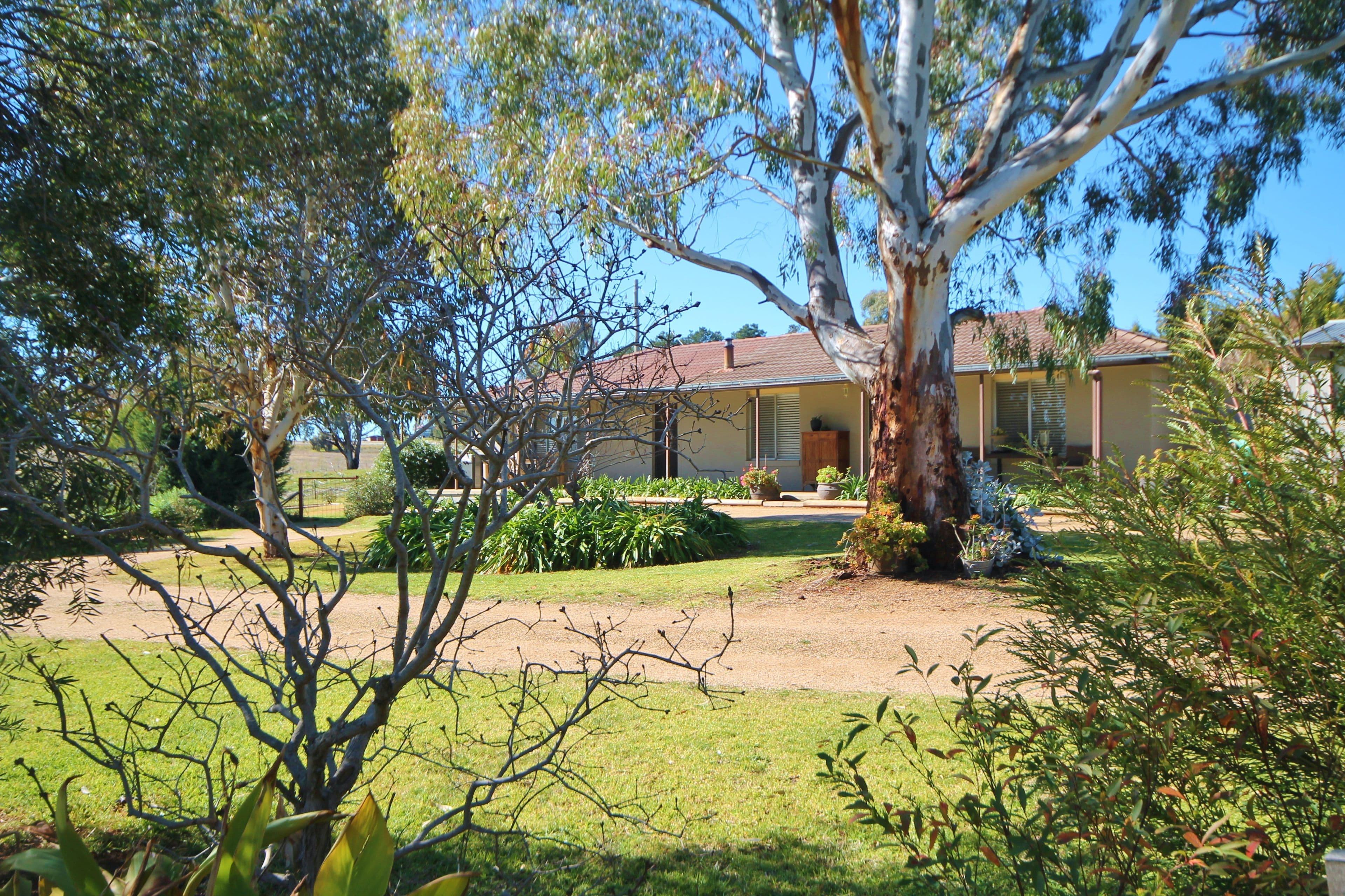 111 Ricketts Road, Young - Thumbnail 2